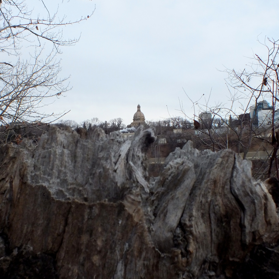 GM. CP-060 “Which Would Be Wilder? 2”
💎Art NFT
opensea.io/item/polygon/0…
🔐Collectibles toshiakiart.tk/art-nft-galler…
#conceptualart #conceptualphoto #contemporaryart  #polygonNFTs #NFT #NFTs #OpenSeaCollection