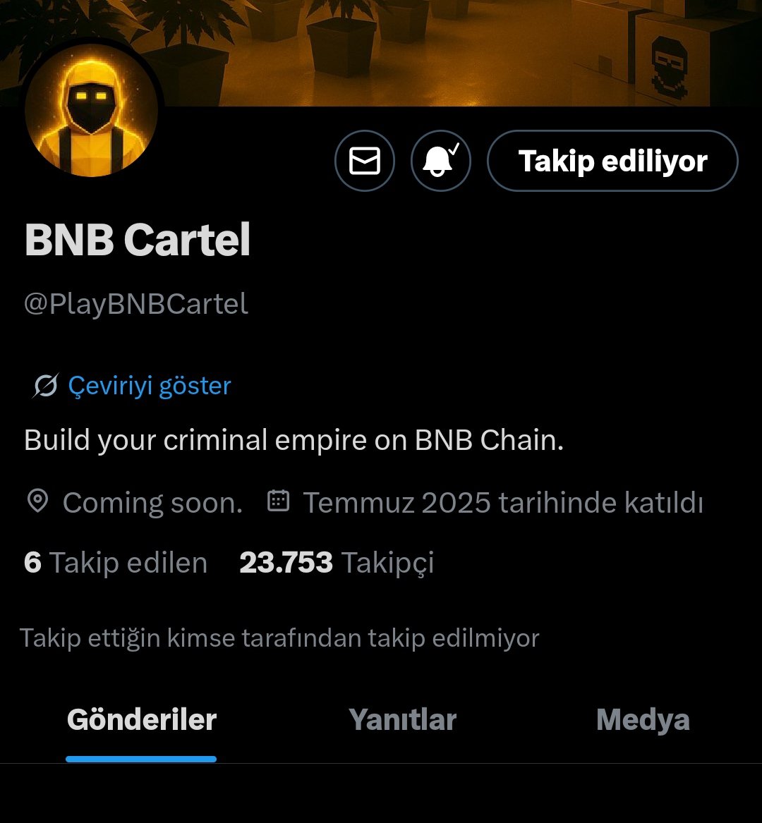 Son bir refund oyunu ile bağlanan hesapları boşaltıp profili sildiler.

Dolandırıcı olduklarını zaten başta düşündüğüm için giden paraya üzülmüyorum.