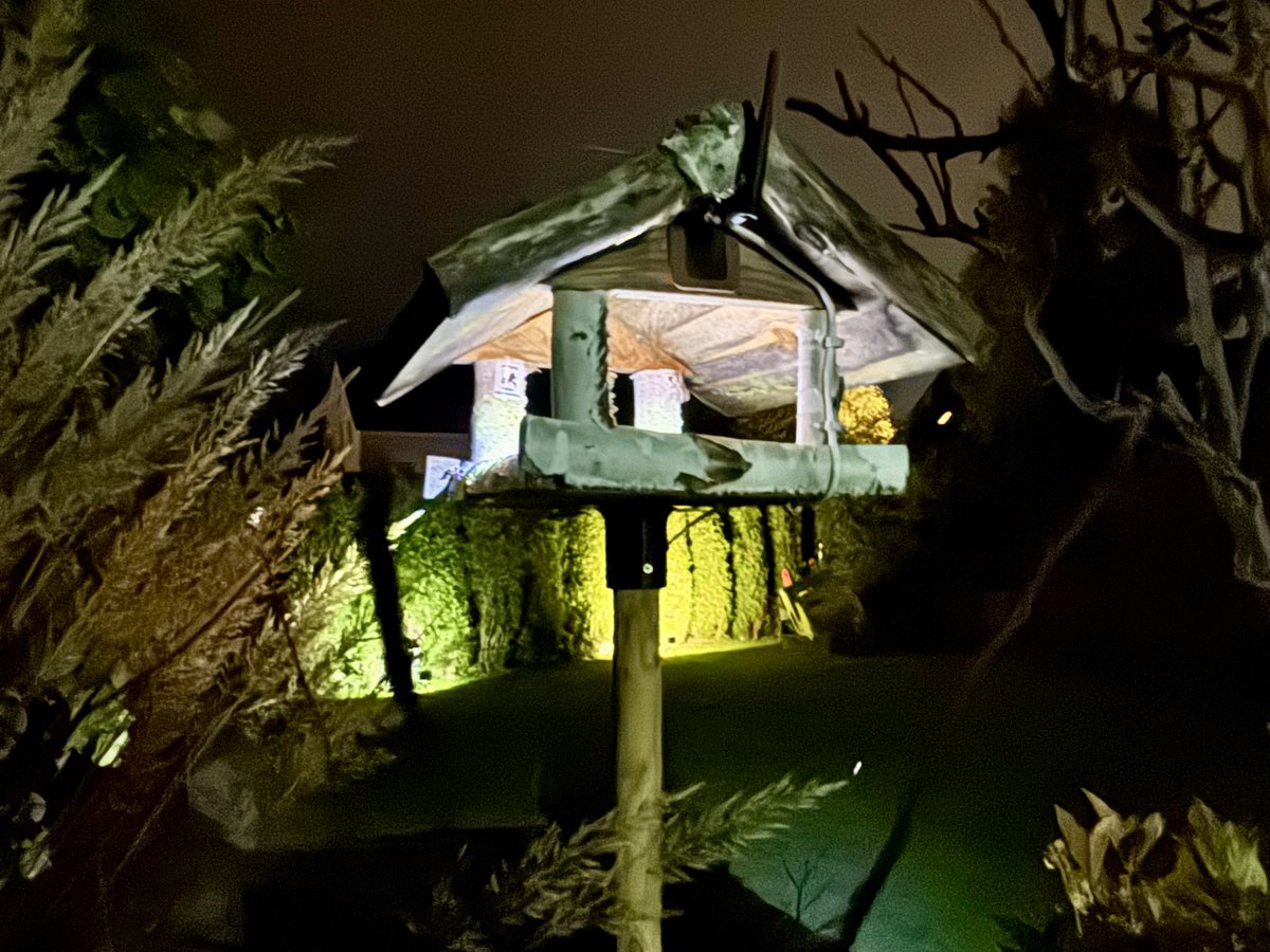 Der Winter kann kommen, dieses smarte Vogelhaus wird bald 3 Jahre alt 🦅