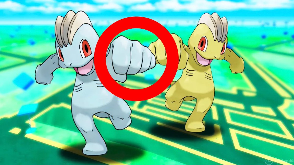 NidosCDMX 🪺🇲🇽 tweet media