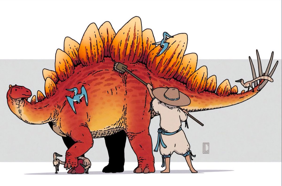 Clanaghan's Stegosaurus getting scrubbed and picked clean of small hitchhickers