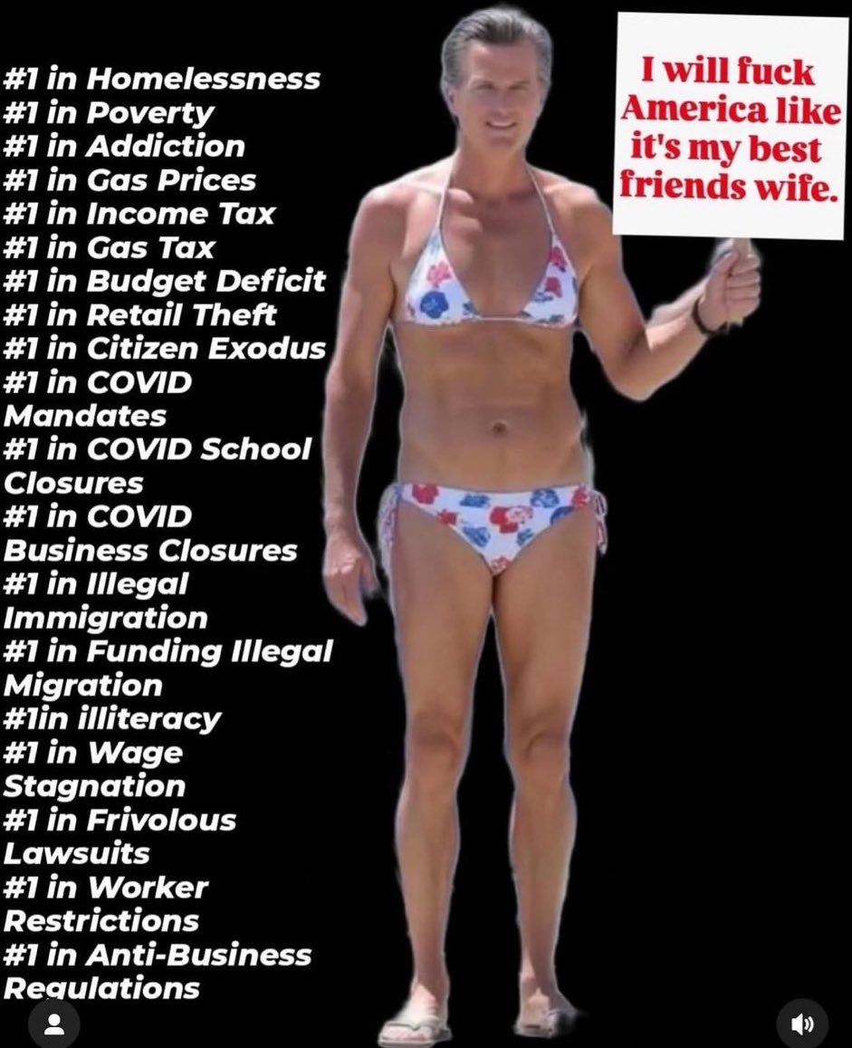 Alpha Wolf 🐺 tweet media