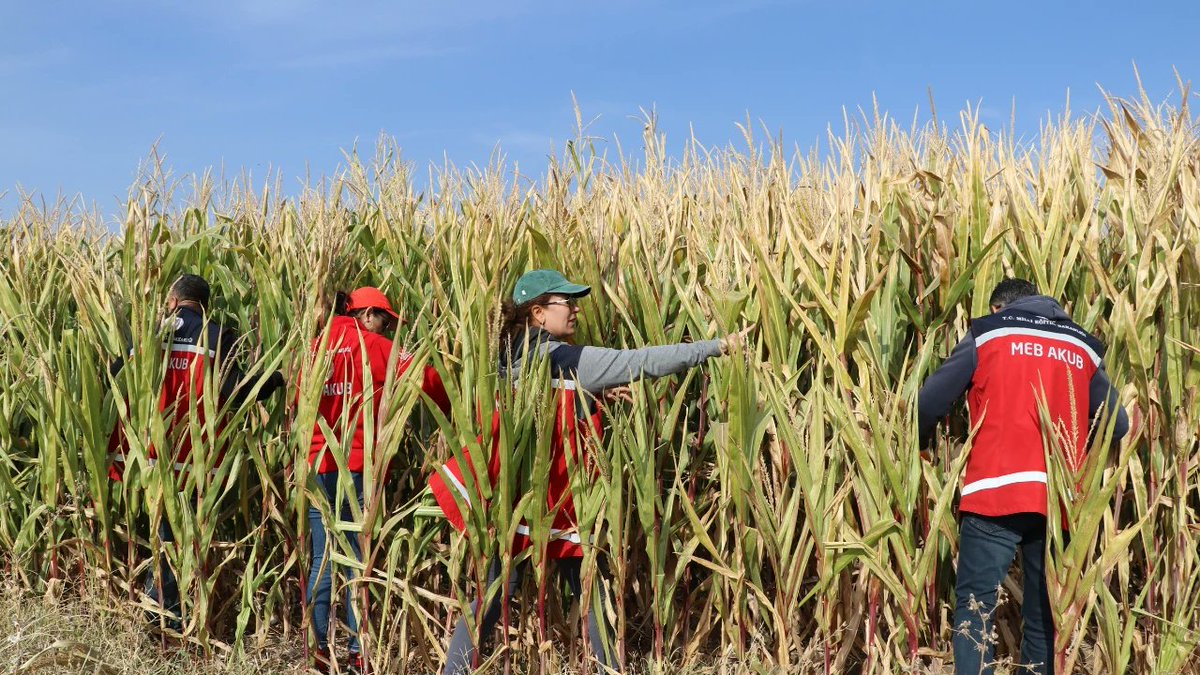 Elazığ'da Kayıp Otizmli Çocuğu Arama Çalışmalarına Elazığ MEB AKUB arama çalışmalarına katılım sagladı.
<a href="/tcmeb/">Millî Eğitim Bakanlığı</a> 
<a href="/Yusuf__Tekin/">Yusuf Tekin</a> 
<a href="/meb_dhgm/">Destek Hizmetleri Genel Müdürlüğü</a> 
<a href="/omurfatih/">Ömür Fatih Karakullukçu</a> 
<a href="/mebisgb/">İşyeri Sağlık ve Güvenlik Birimi Daire Başkanlığı</a> 
<a href="/ozkan_meb/">Özkan AVCI</a> 
<a href="/MetinTayarer/">Metin TAYARER🇹🇷🇹🇷🇹🇷</a>