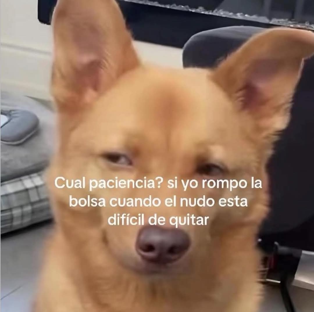 Animalitos en aprietos. tweet media