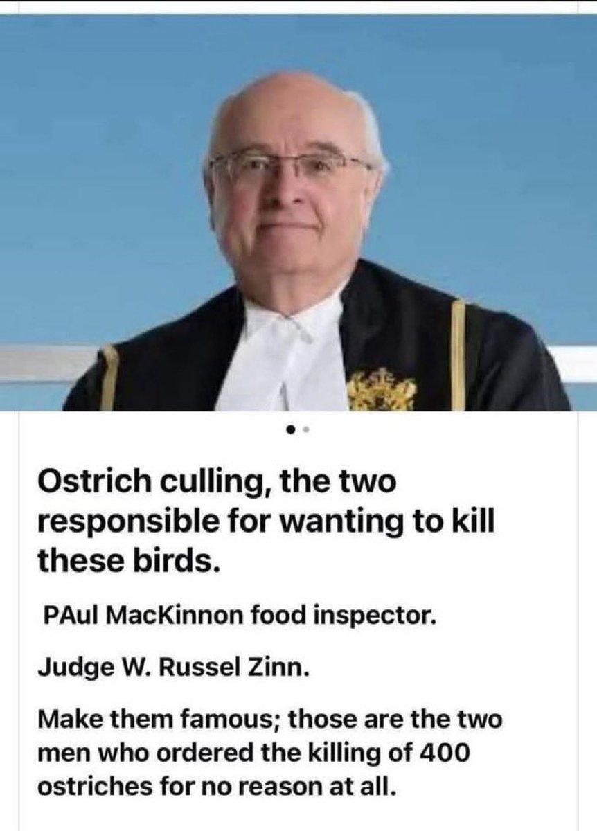 Paul McKinnon is a douche bag.