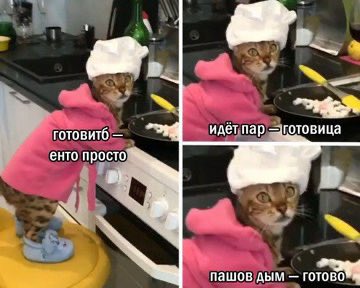 Последняя сохраненная картинка в галерее - это ты

Ну готовлю я действительно примерно вот так 🤣