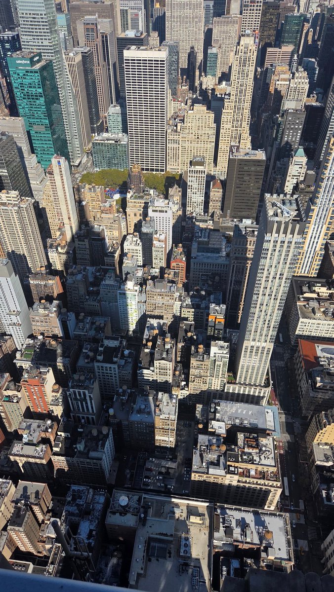 obsessed with bagels unfortunately (they're soooo expensive for no reason)