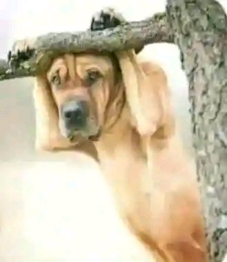 FlashWizardJr tweet media