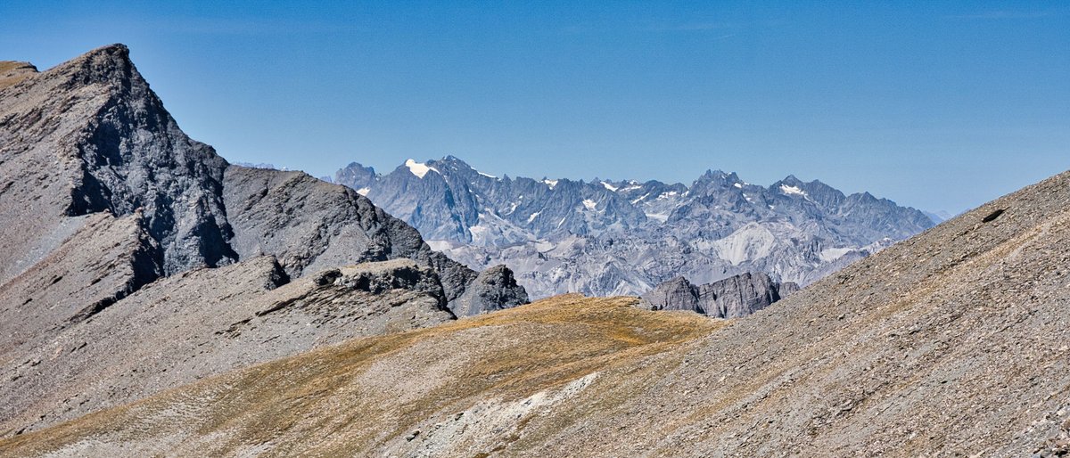 Franck Rando tweet media