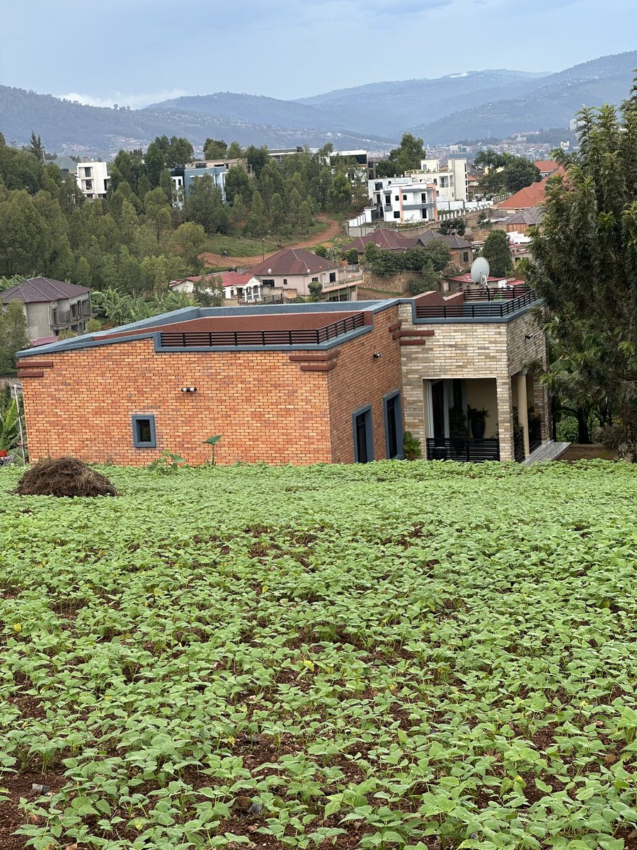 Designers from Rwanda are a masterclass.