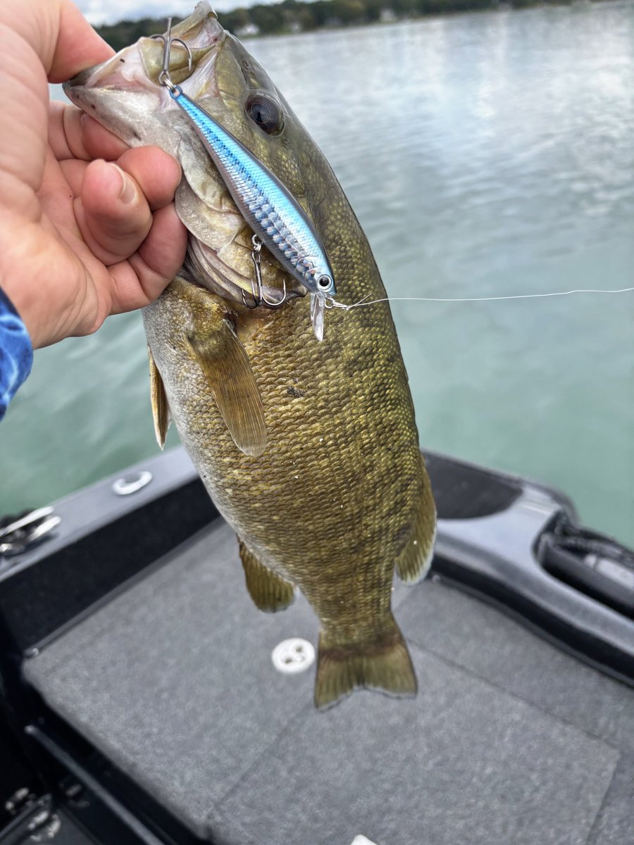 LuckyCraftUSA tweet media