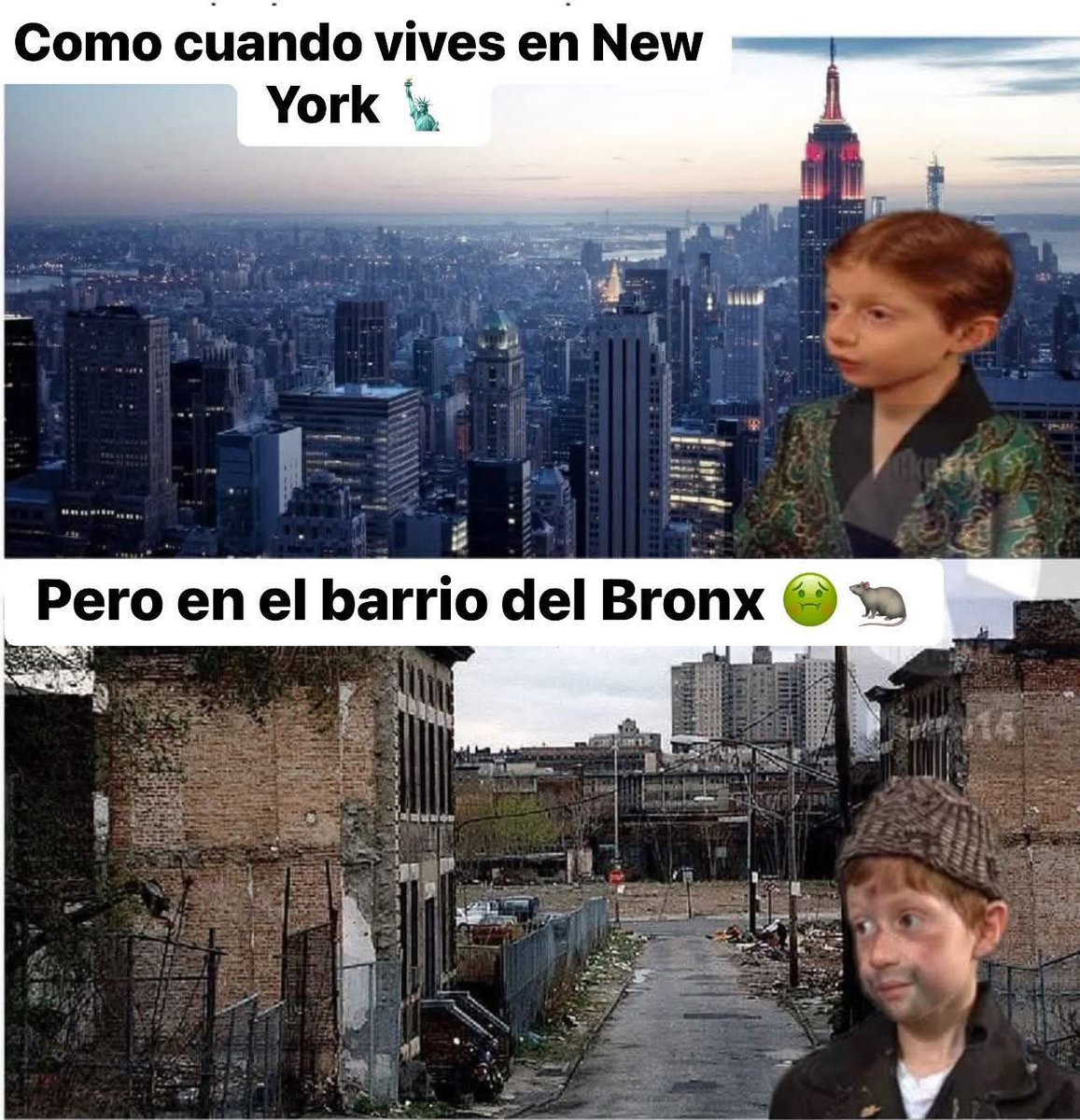 Rafael Mejia tweet media