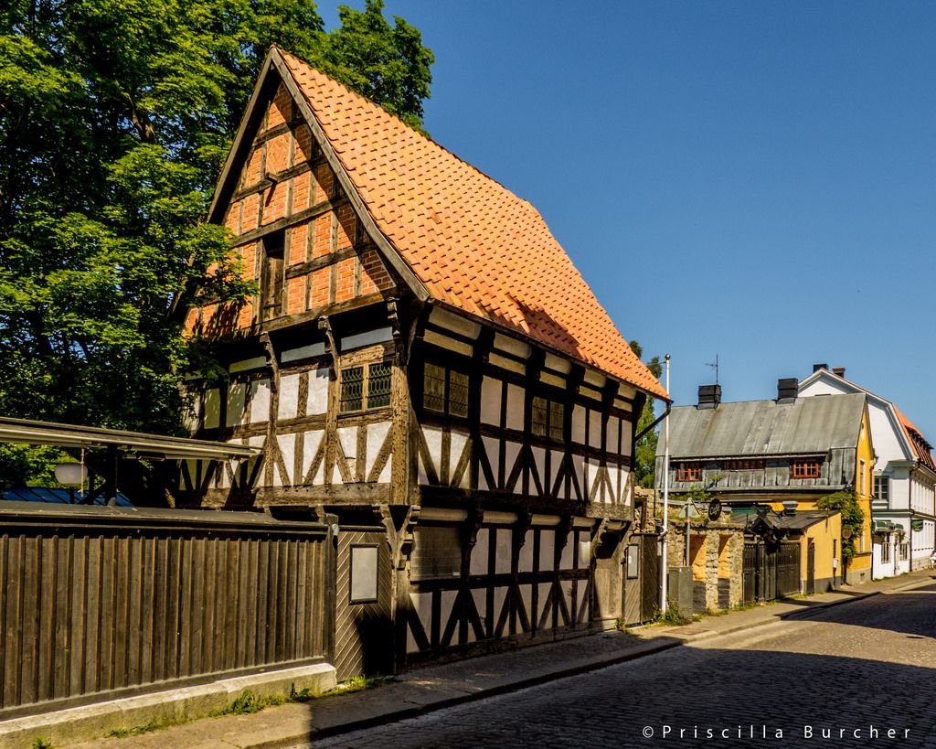 TeutonicAesthet's tweet image. 🇸🇪