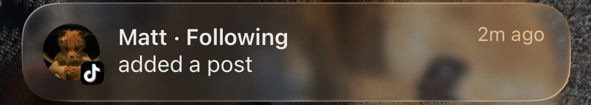 wAlLe5t's tweet photo. @mariafcmps Idk, I literally woke up to this notification

But no one’s talking about it, so idk

ALSO, I never get a notification when they post on TikTok the only time I do, he apparently deleted it https://t.co/03HTTlnCIo