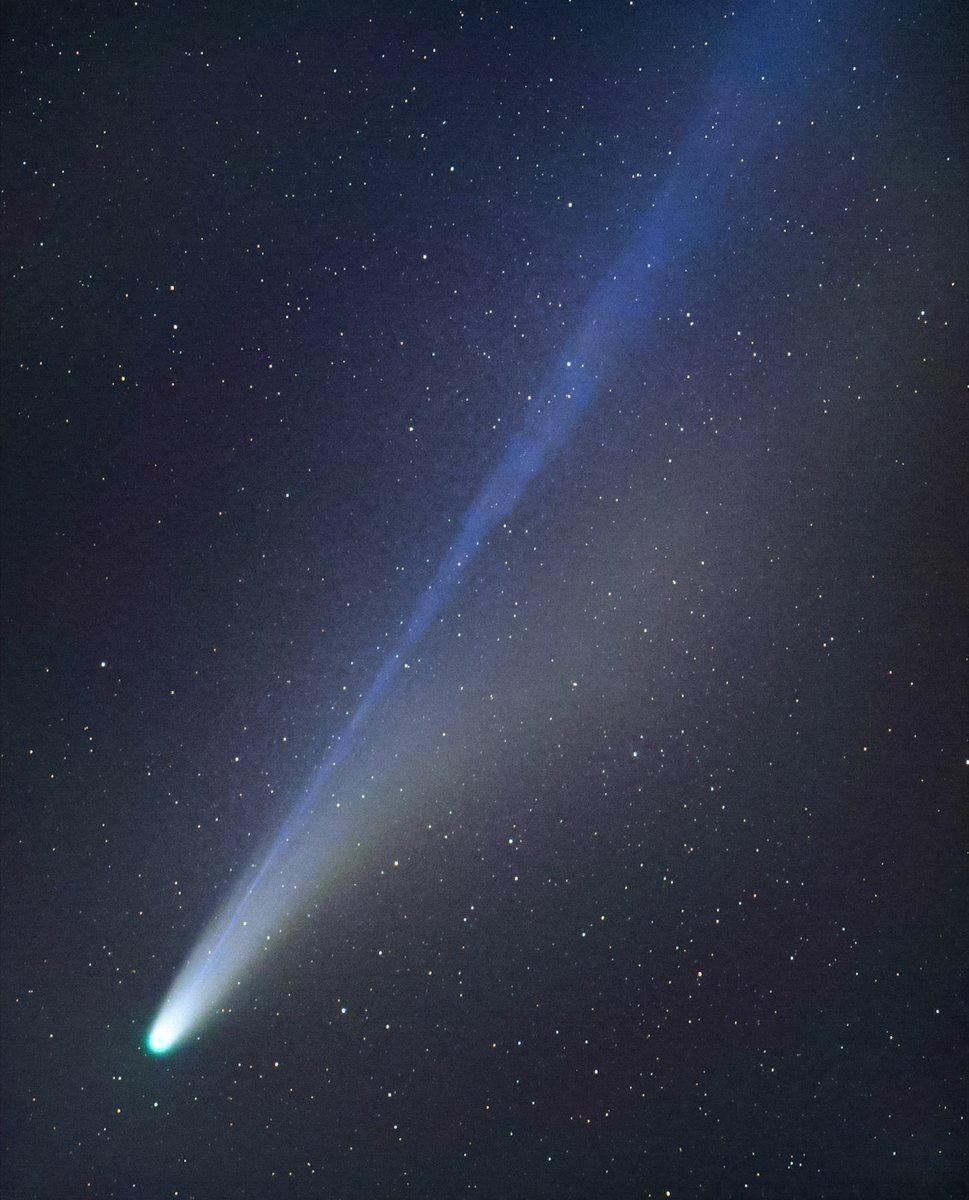 goldenkamuy1703's tweet image. ☄️美しい二つの尾を引くほうき星・さよならレモン彗星📷GFX100S 1枚撮り 2025年11月08日 沖縄県国頭村 #Comet #レモン彗星 #彗星 #国頭村 #星空 #GFX100S #宮古島 #石垣島 #西表島 #波照間島 #来間島  #星空フォト #東京カメラ部 #色に恋する富士フィルム #Astrophotography  #Photograph #Sky #Star