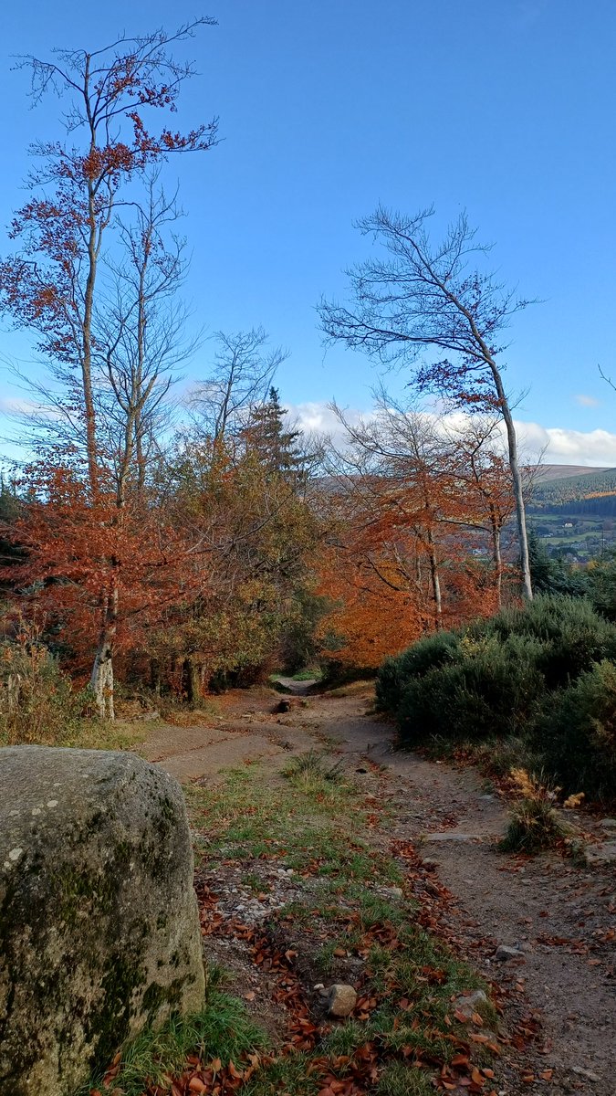 Eilish Sutton tweet media