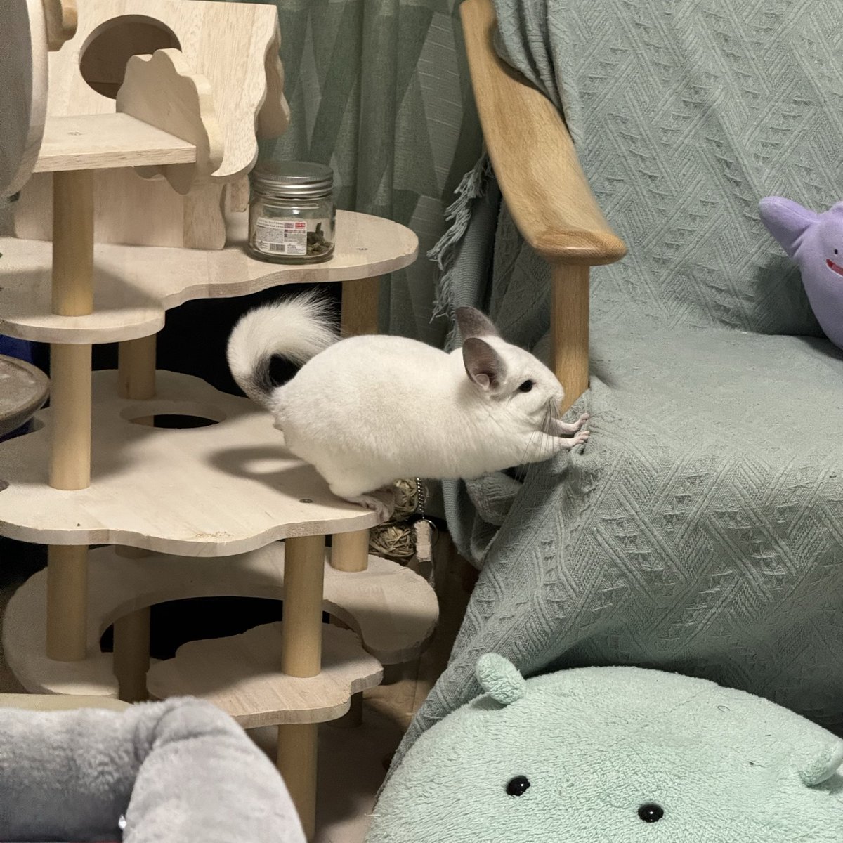 ひまり 1/25💙💜5/28 (@himari0dc7) / Posts / X