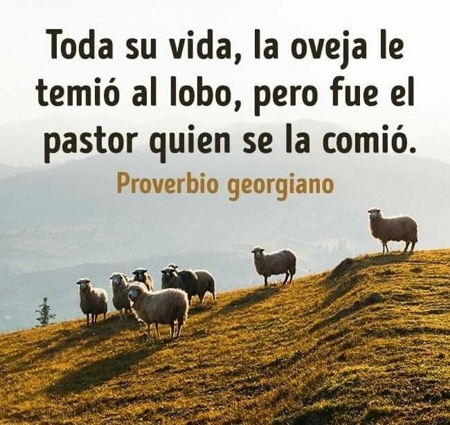 carlos barsallo (@barsallocarlos) on Twitter photo 