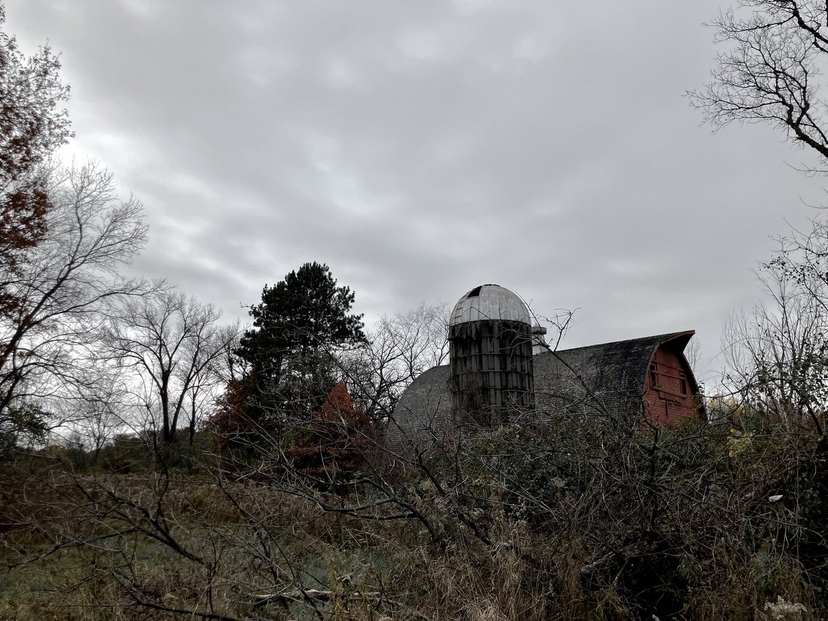 Ignisfox1's tweet photo. Cool weather moved in for a few days. 
Happily the wind was minimal. 
Sad to think that the 34f (feeling like 28f) will feel like a heat wave in a couple months. 

#morningwalk #latefall #minnesota #cloudyday #barn https://t.co/3Ei7ZCbOR7