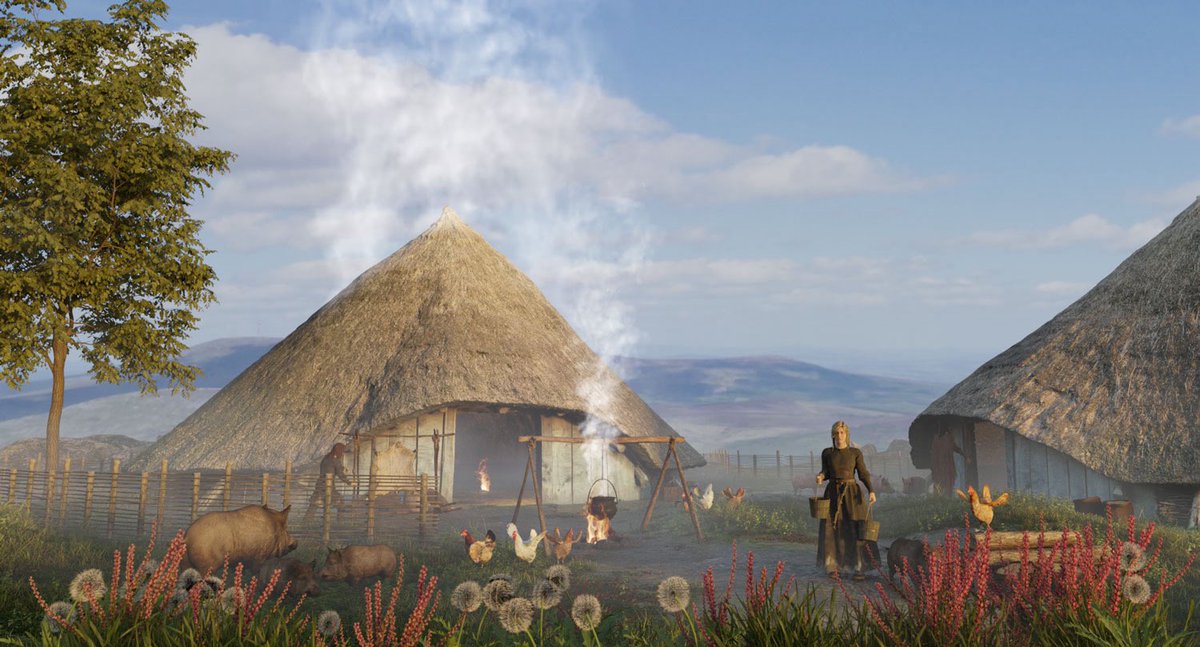 Mark Hoyle tweet media