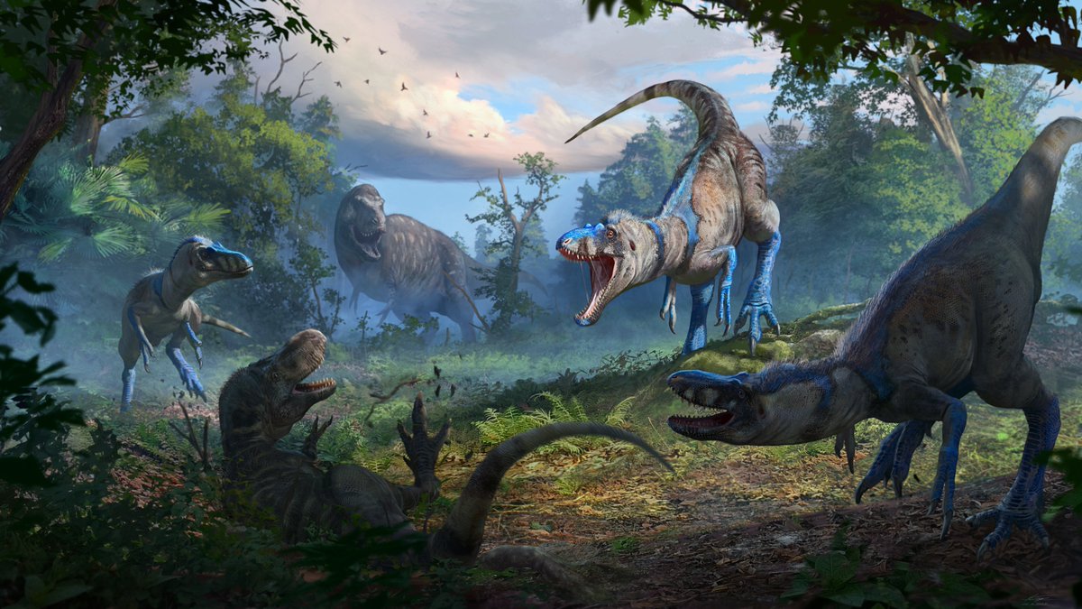 Nanotyrannus - The recent artwork I had the privilege of creating for the recent press release. I worked closely with Dr Lindzay Zanno <a href="/ExpeditionLive/">Lindsay Zanno</a> over at <a href="/NaturalSciences/">NC Museum of Natural Sciences</a>, so a huge congratulations to the team!
More can be read here: naturalsciences.org/calendar/news/…