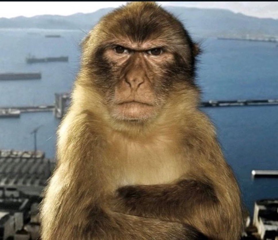 yağmur🐒 tweet media