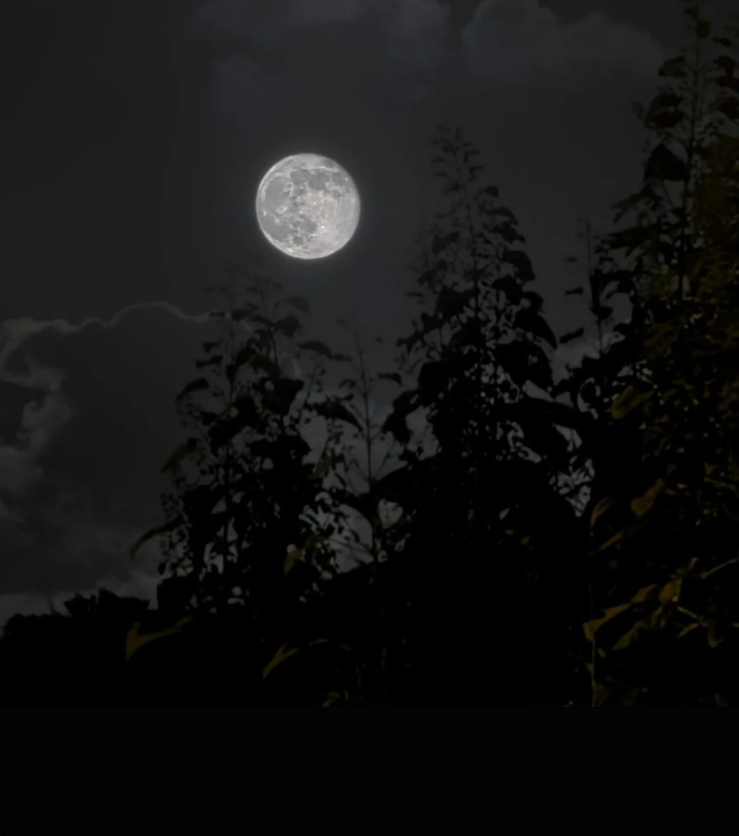 Hayat , yaşadığı günün değerini bilene gülümsermiş...

Keyifli #akşamlar 
#iyiakşamlar