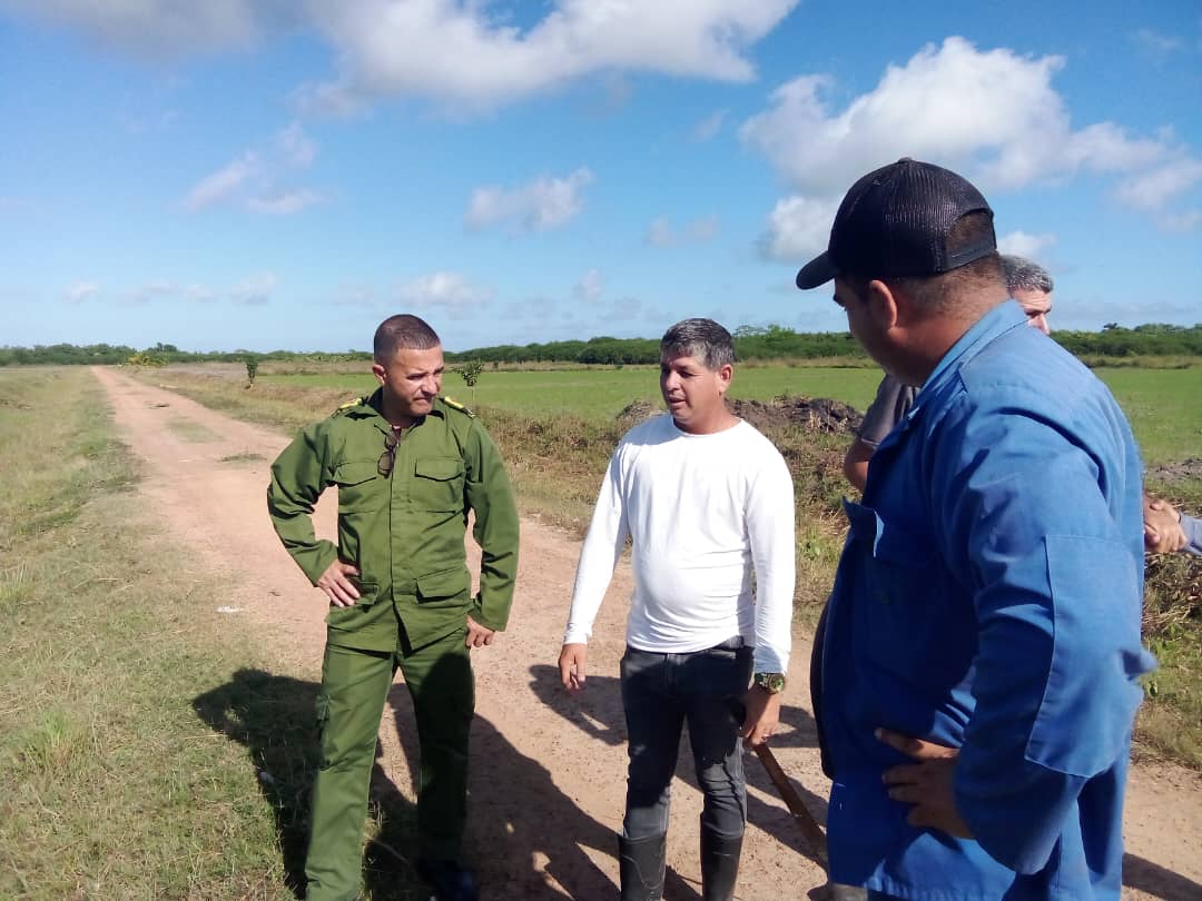rlicea_mojena's tweet photo. Comienzan a dar frutos las inversiones del arroz, se producen en la industria, las primeras toneladas para el consumo de la población, lejos de las potencialidades del territorio, pero convencidos que vamos por el camino correcto #IslaDeLaJuventud #SentirPinero #100AñosConFidel https://t.co/yDrup8ESVW