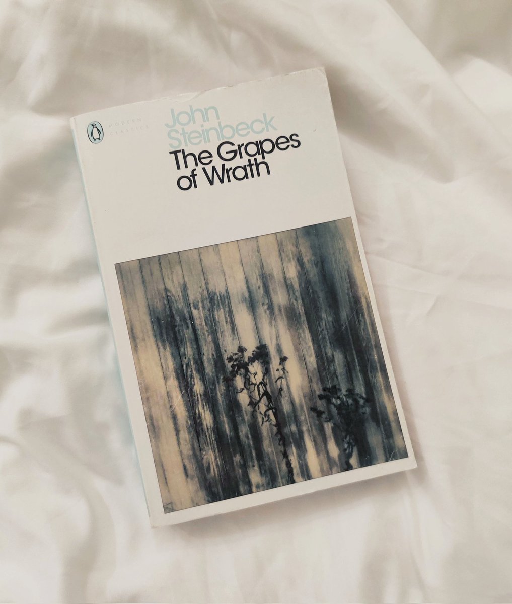 A Bookish Girl 📚 tweet media