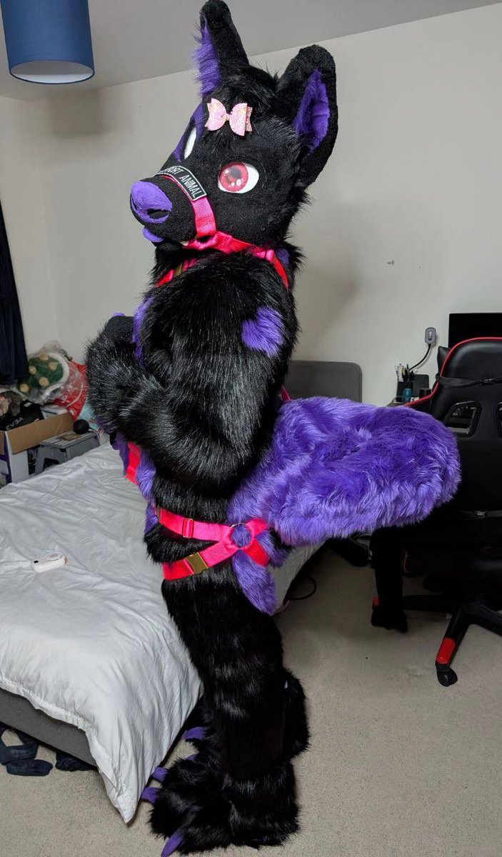 Please take my phone away at this point I can’t be trusted 😭

My 93 year old great grandad messaged me today asking how I was doing and I accidentally sent him these full body harness Fullsuit pics… 

💀💜 🐾
