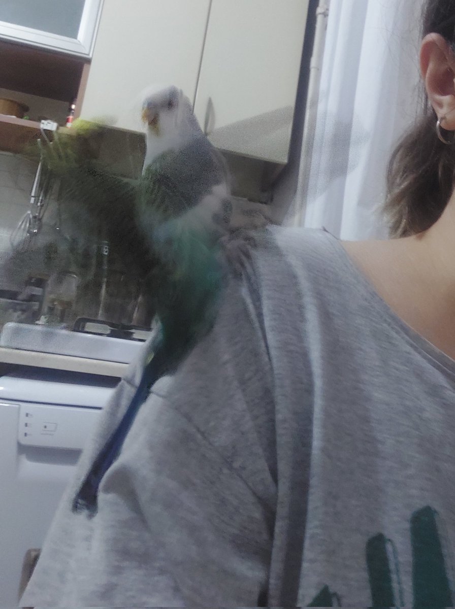 Sizden gelenler 📸