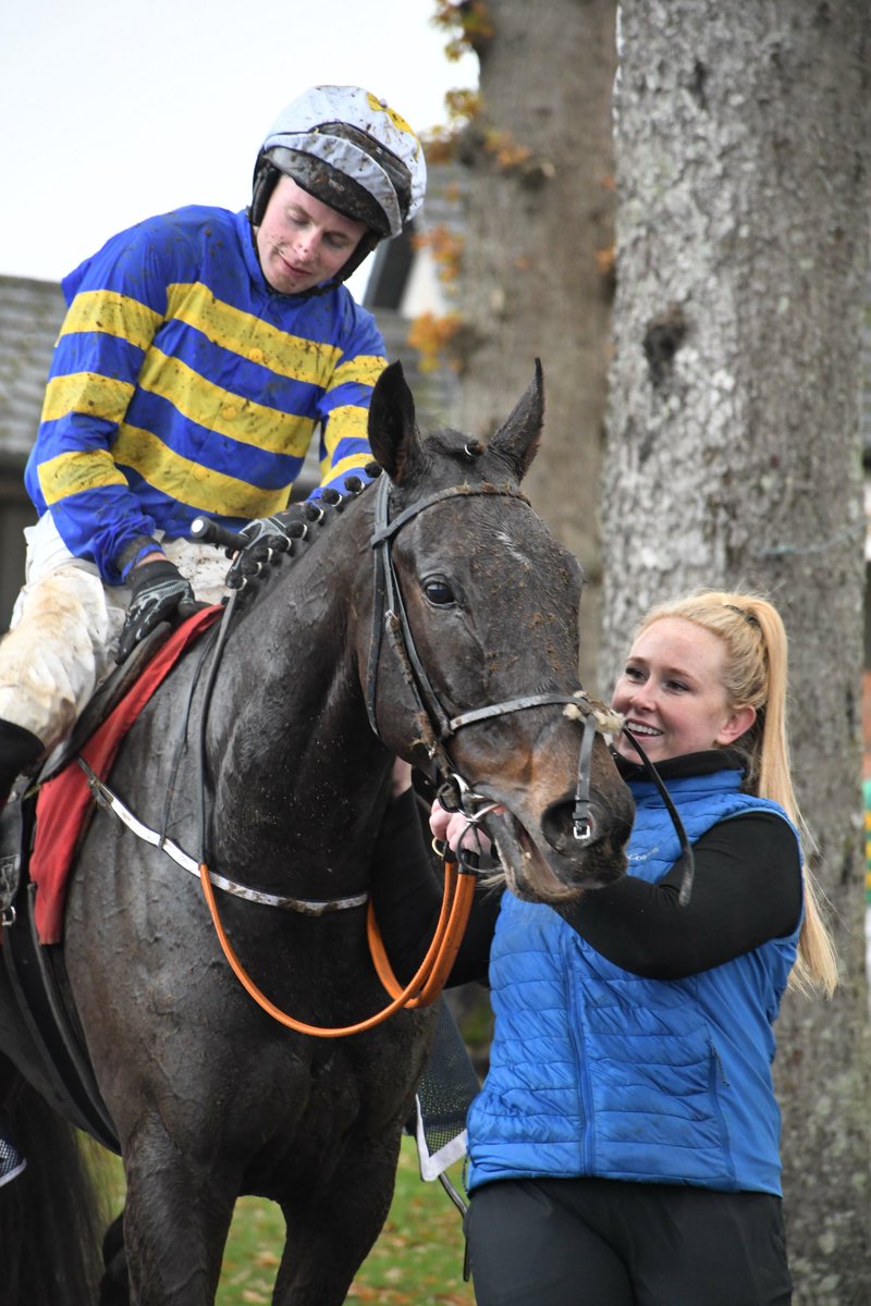 Thedeviluno trained by <a href="/nolan_racing/">Paul Nolan</a> is a winner <a href="/GowranPark1/">Gowran Park</a> 8/11/25