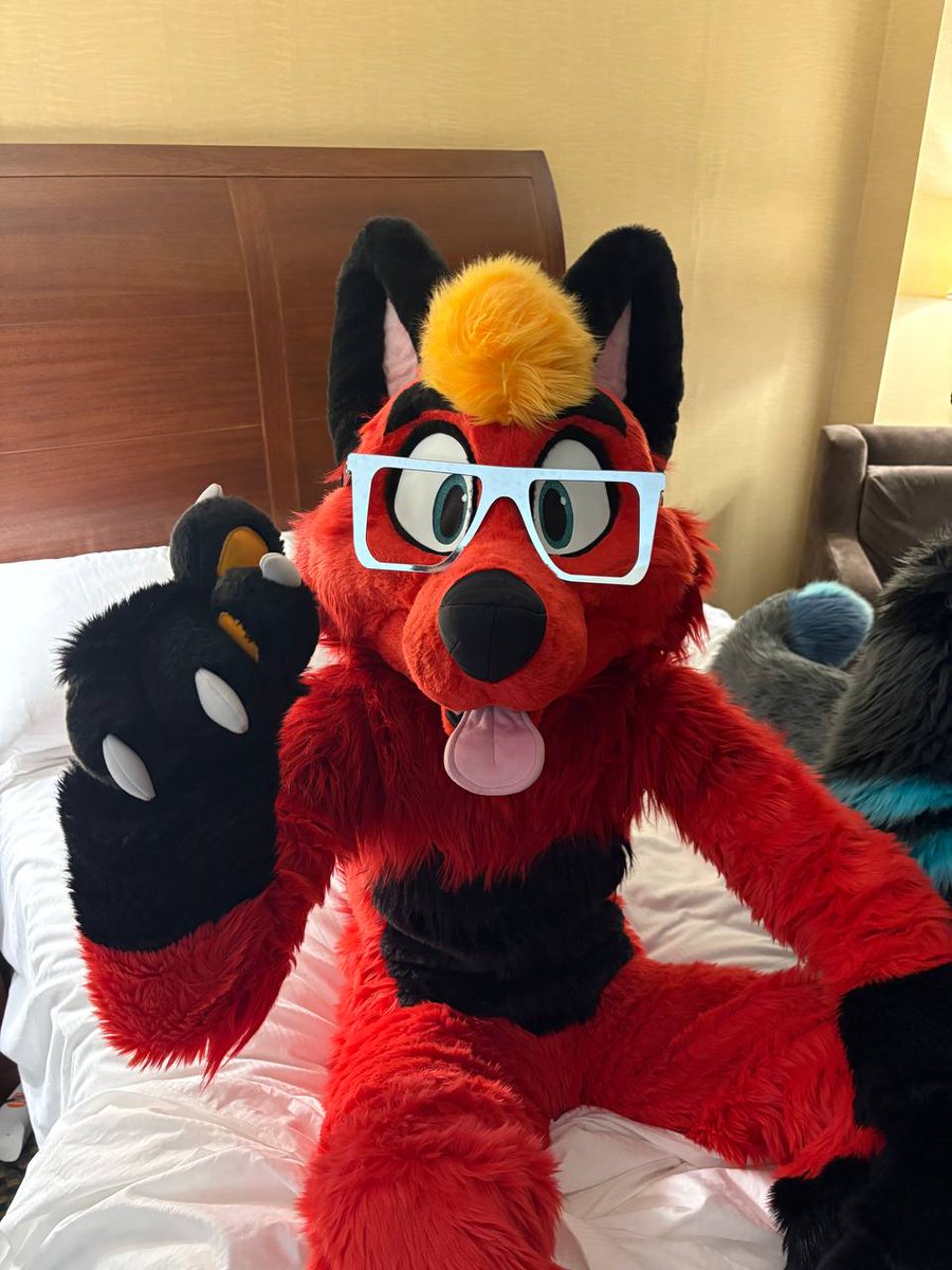 "Um, nyactually, it's scientifically proven that YOU'RE the cute one!"

📷 - <a href="/RiggyFolf/">Riggy Riggums - Waz at Furpocalypse</a>