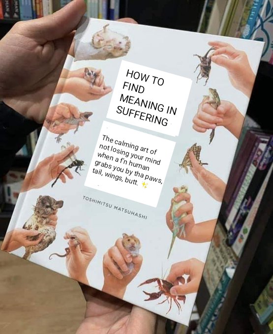 @VividVoid_ *corrected version - animal pov*