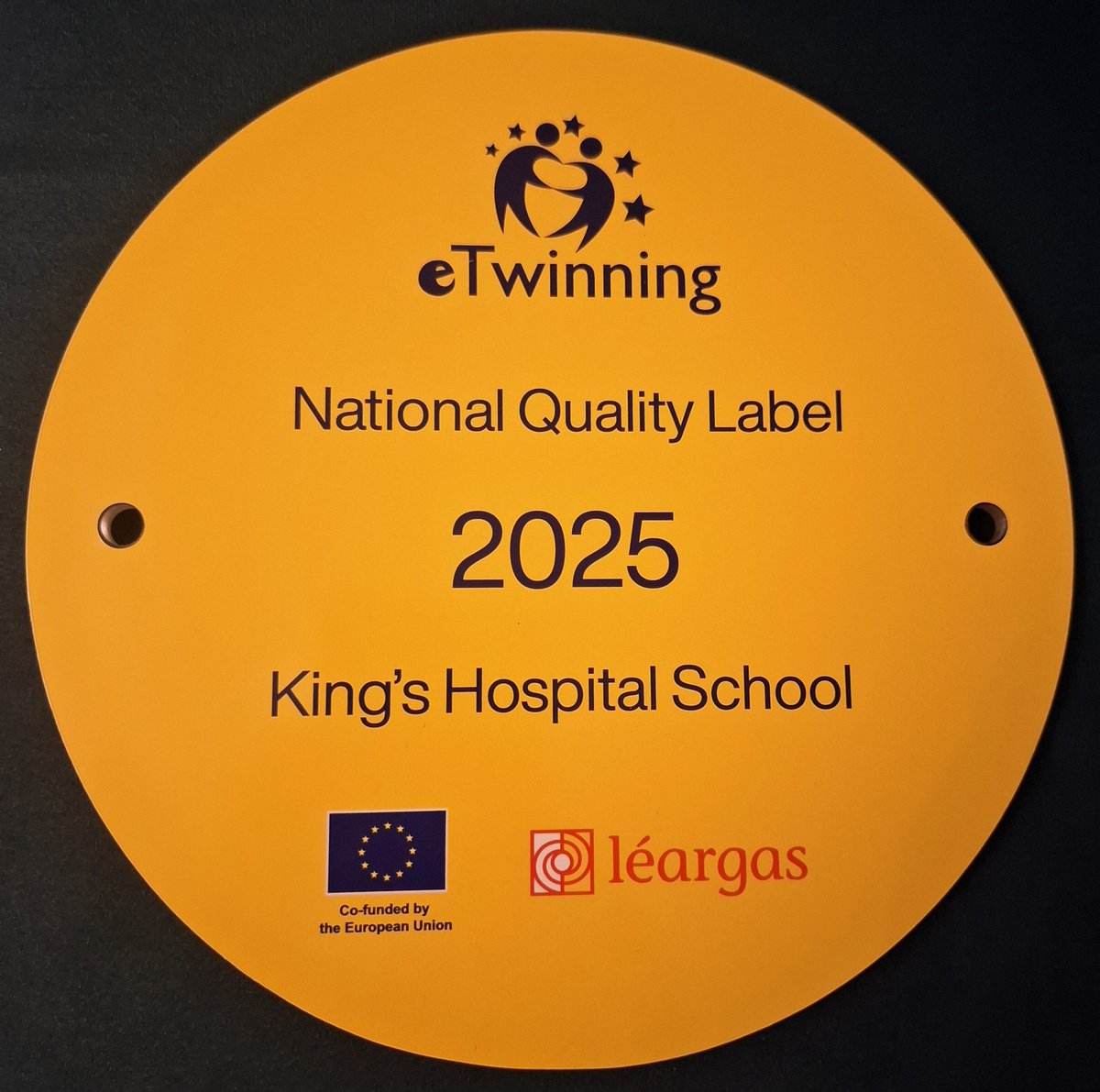 VikiMalcolm's tweet image. Honoured to attend @Leargas_etwinn national conference on ##GlobalCitizenship today and accept our NQL award. Excellent keynote address from Dr Brighid Golden. Delighted to join my colleagues from @WorldWise_Irl and @Webwise_Ireland in a panel discussion on citizenship education