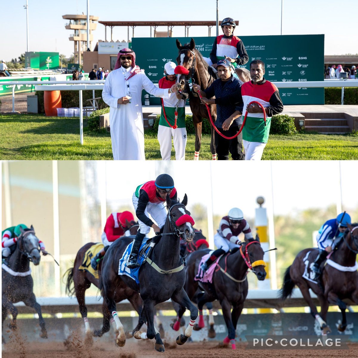عبدالعزيز الموسى
اسرج مداحر ليضيف الشوط الثالث في كتيبة إسطبل الشريف
مداحر ابن وردلي والام نبع الصفا
تهانينا إلى الشريف هزاع بن شاكر العبدلي
<a href="/FrusiyaClub/">نادي سباقات الخيل</a>