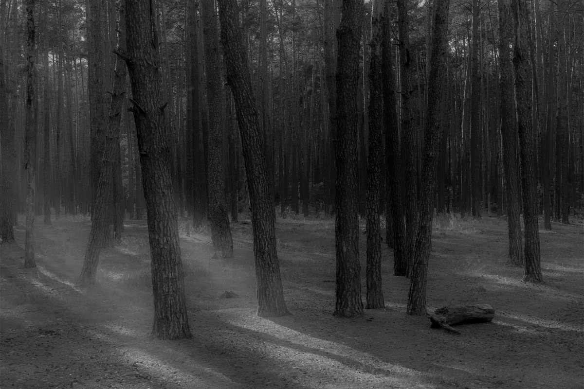 Ge!

"Whisper of Shadows"
5 ed/6   -   6,66 xtz
🔗