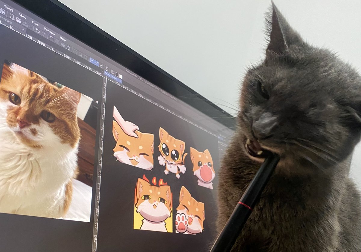 Krixy tweet media