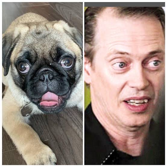 DanielW_Kiwi's tweet image. Post you and your celebrity look alike :-)