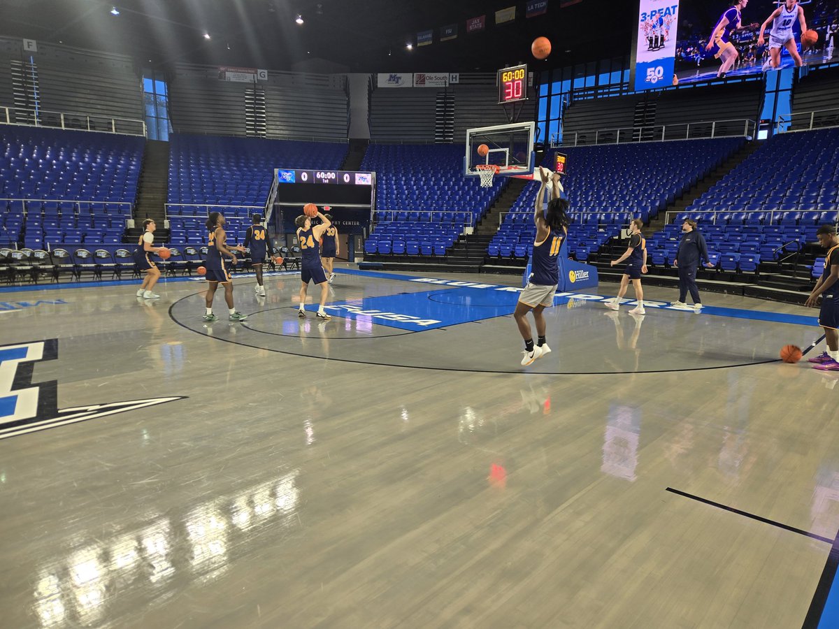 Webster Basketball tweet media