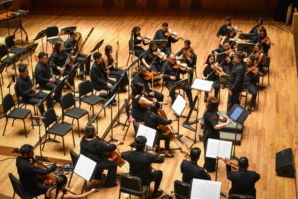 Diego Naser Conductor tweet media