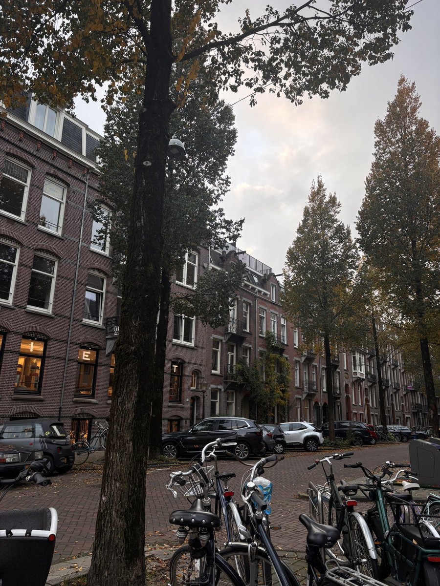 hjjrbx's tweet photo. dump☁️🍂 https://t.co/iaaWNg0ykL