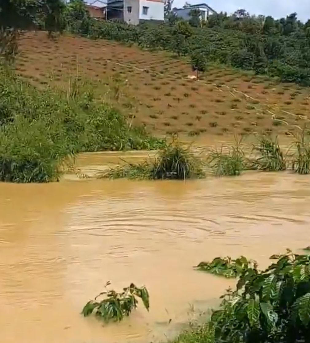 SpillingTheBean's tweet image. This is the EXACT hammer on the nail #KC vision Mike, every single forecast, analysis and market research report confirm again and again that the world #coffee market has ZERO PROBLEMS with higher prices and the global demand continues to be BOOMING and even if Brazil, Eastern…