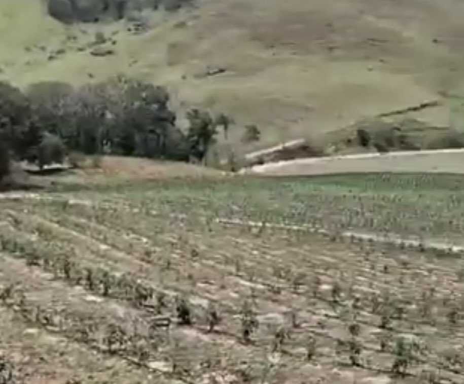 SpillingTheBean's tweet image. This is the EXACT hammer on the nail #KC vision Mike, every single forecast, analysis and market research report confirm again and again that the world #coffee market has ZERO PROBLEMS with higher prices and the global demand continues to be BOOMING and even if Brazil, Eastern…