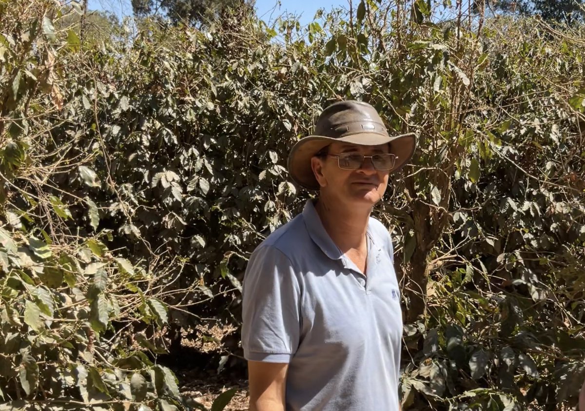 SpillingTheBean's tweet image. This is the EXACT hammer on the nail #KC vision Mike, every single forecast, analysis and market research report confirm again and again that the world #coffee market has ZERO PROBLEMS with higher prices and the global demand continues to be BOOMING and even if Brazil, Eastern…