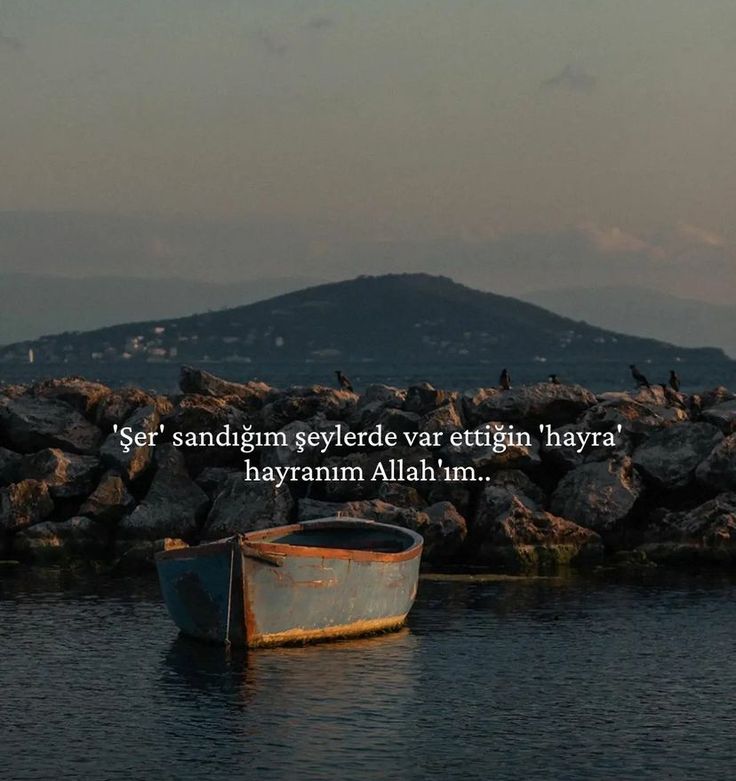 Hoca_hanim (@hoca_hanim35) on Twitter photo 