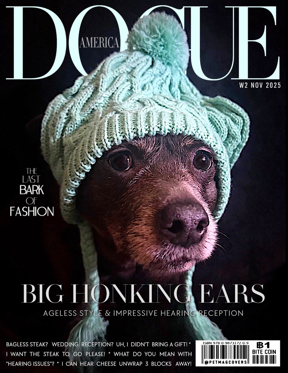 Today, on the cover of DOGUE Magazine: Alouette <a href="/sarahanunn/">sarah nunn</a> 
Alouette is successfully recovering from a cheese crisis and moving to a high-end fashion for winter.  Sarah Nunn is a rescuer of multiple Small Hospice/senior dogs. Follow her account for more brilliant dog fashion.