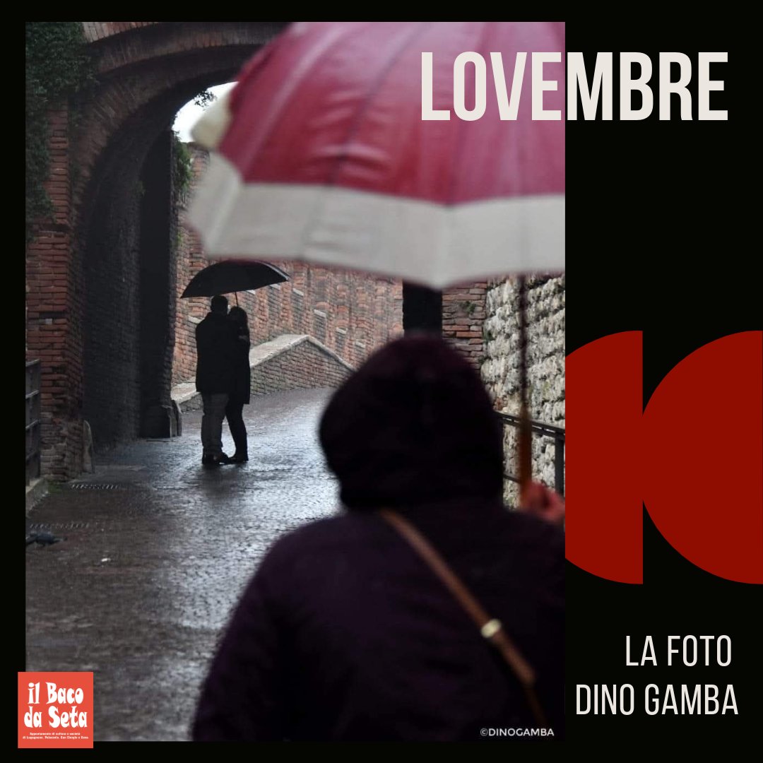 Il Baco da Seta (@ilbacodaseta) on Twitter photo 