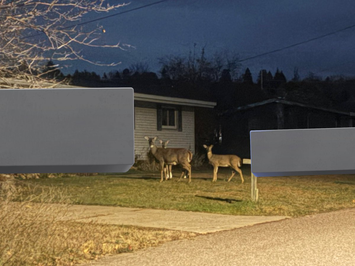 my neighbors are always staring at me