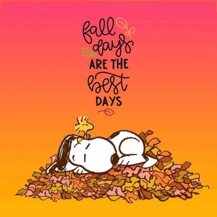 Is Fall Your Favorite Season?